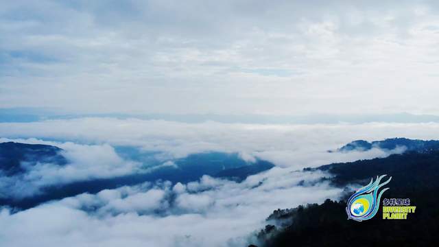 景迈山云海：云端诗画与科学密码_fororder_2