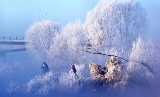 童话世界！大凌河雾凇如梦如幻