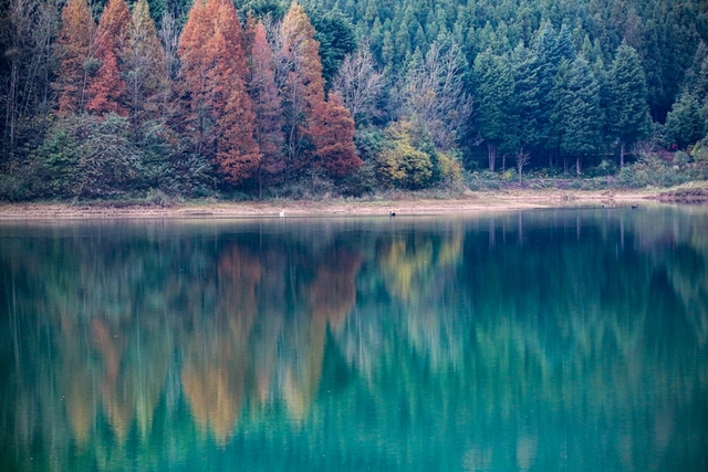 贵州六盘水:秋色连波景色宜人 贵州六盘水:秋色连波景色宜人