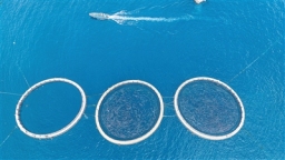 海南：唱响海洋牧歌 建设蓝色粮仓_fororder_7