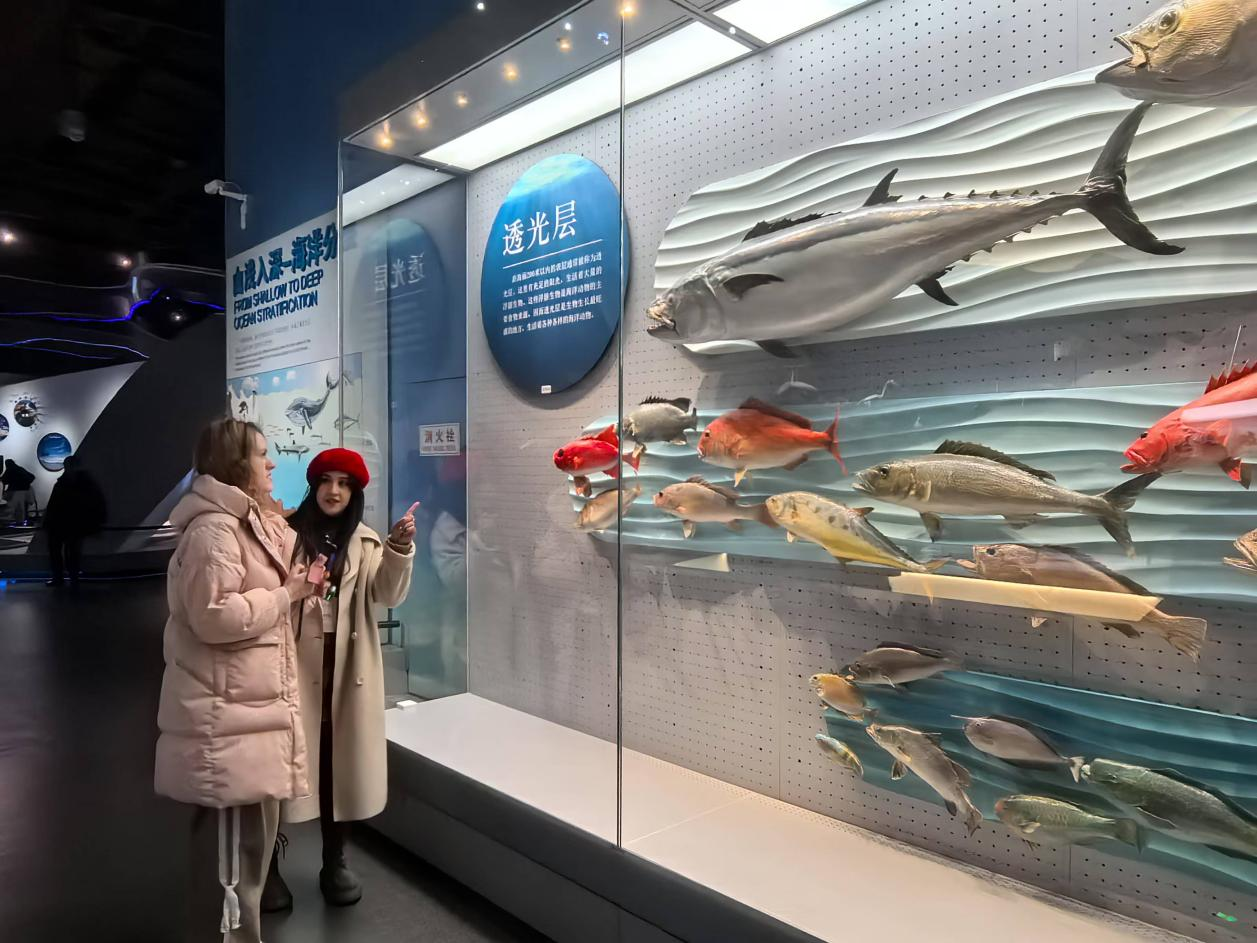 【2024打卡中国】文脉华滋 风帆正劲 外国网红看京畿大地协同发展新貌 【2024打卡中国】文脉华滋 风帆正劲 外国网红看京畿大地协同发展新貌