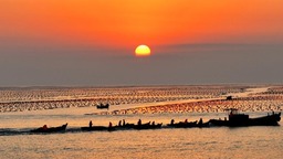 山东荣成：早春“耕海”忙