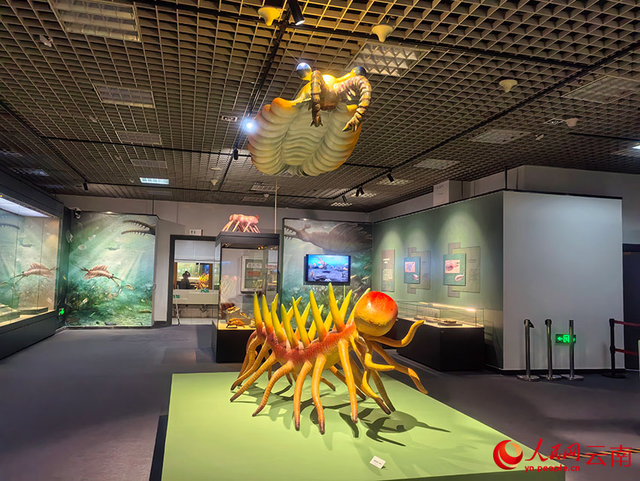 569块寒武纪化石首次进京集中展出 569块寒武纪化石首次进京集中展出