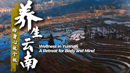 【从云南出发】养生云南：给身心放个假