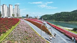 四川宜宾：岷江畔，从工厂围江到花海绽放
