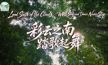 【澜湄之窗】彩云之南 踏歌起舞