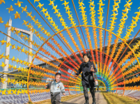 福州花海公园升级 彩虹风车长廊受欢迎