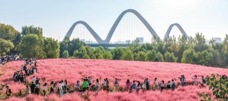山西临汾：静享秋日浪漫时光