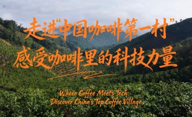 【澜湄之窗】走进“中国咖啡第一村”，感受咖啡里的科技力量_fororder_56f84ad78deb25c5917ecb9165998c70
