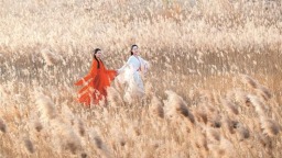 淄博高青：芦花飞雪 安澜诗画