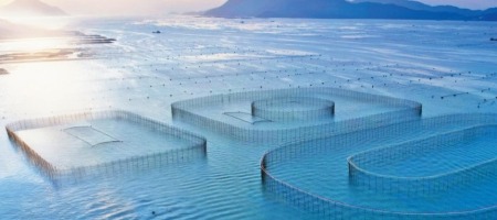 福建宁德：年年有黄鱼 年年都有余