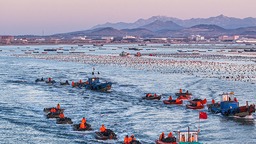 山东荣成：海上养殖作业忙