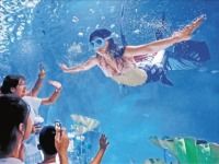 浙江杭州：打卡水族公园