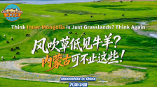 【“中国游记”第二季㊹】风吹草低见牛羊？内蒙古可不止这些！_fororder_微信图片_〉〇〉」-〇「-〉」_〈〈〈【《【_〉《《