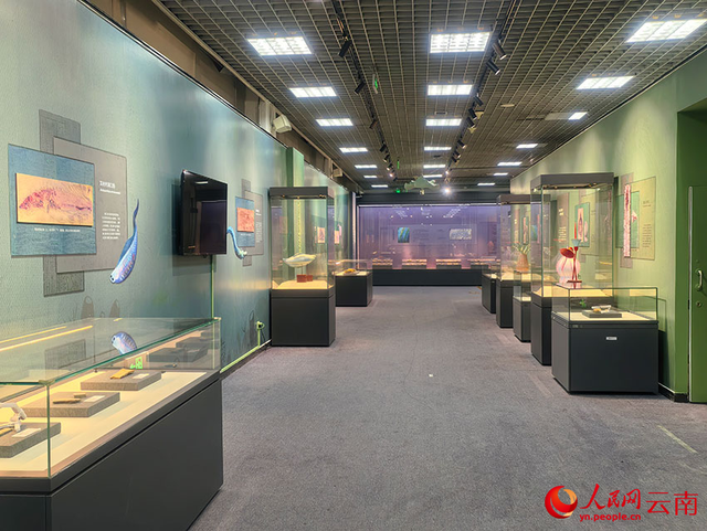 569块寒武纪化石首次进京集中展出 569块寒武纪化石首次进京集中展出