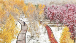 黑龙口绥化：五花秋色雪来伴