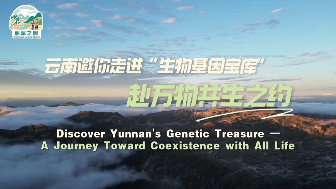 【澜湄之窗】云南邀你走进“生物基因宝库”，赴万物共生之约_fororder_ef6c8a4826d8258a82483e29d6f1cfbe