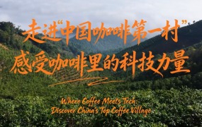 【澜湄之窗】走进“中国咖啡第一村”，感受咖啡里的科技力量