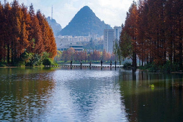 贵州六盘水:秋色连波景色宜人 贵州六盘水:秋色连波景色宜人