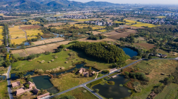 Liangzhu Forum Opens, Highlights Heritage Conservation and International Cooperation