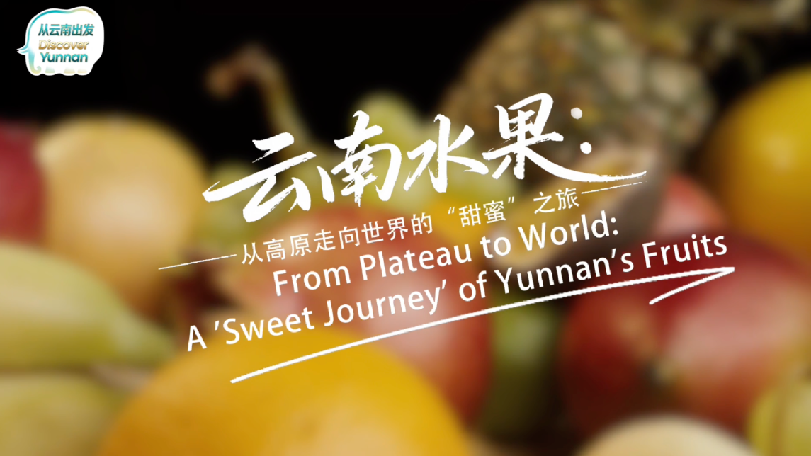 【从云南出发】云南水果：从高原走向世界的“甜蜜”之旅_fororder_fe562176-5fd0-4e57-97e6-2fec968298d4