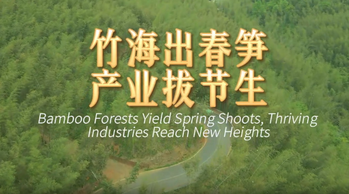 鲜味中国 四季农香|竹海出春笋 产业拔节生_fororder_微信图片_2025-06-05_103657_476