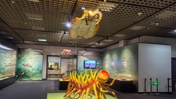 569块寒武纪化石首次进京集中展出