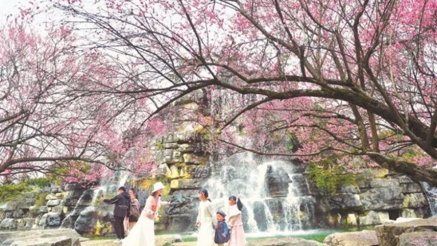 花漾贵州上春山