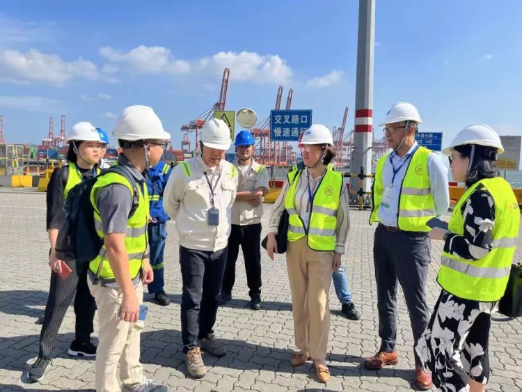 三位中国专家讲述“人人可感知的能源转型”