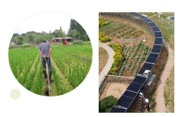 北京密云“零碳样板村”逆袭成遛娃神地