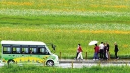 内蒙古锡林郭勒盟：雨中漫游金莲川