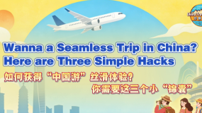 【“中国游记”第二季⑭】如何获得“中国游”丝滑体验？你需要这三个小“锦囊”_fororder_微信图片_〉〇〉」-〇〈-〇』_〈「「『〈〈_《〉』