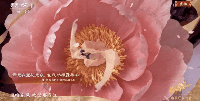 2026春晚“人机共武”刷屏背后:中国AI与机器人正重新定义舞台