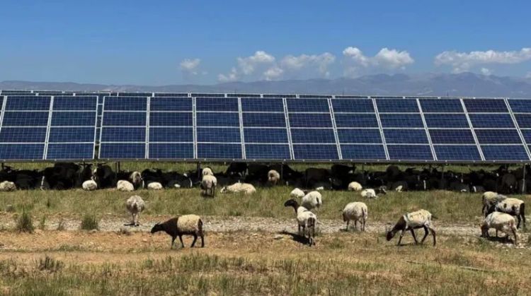 三位中国专家讲述“人人可感知的能源转型”