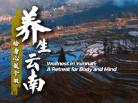 【从云南出发】养生云南：给身心放个假_fororder_微信图片_20260213143823_267_127