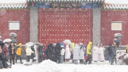 沈阳故宫赏雪 美景醉游人