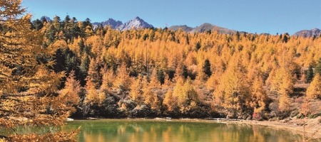 云南香格里拉：高原秋色美