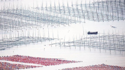 福建霞浦海上秋耕图_fororder_微信图片_〉〇〉「-〈〇-《〈_〇』「〈〉【_」「「