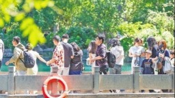今年“五一”，山东创新营造沉浸式文旅体验场景