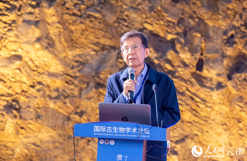 云南:澄江生物群发现40周年系列活动开幕 云南:澄江生物群发现40周年系列活动开幕