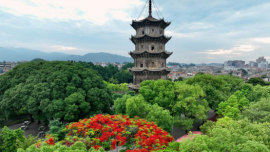 Quanzhou, Wuxi Join UNESCO Creative Cities Network