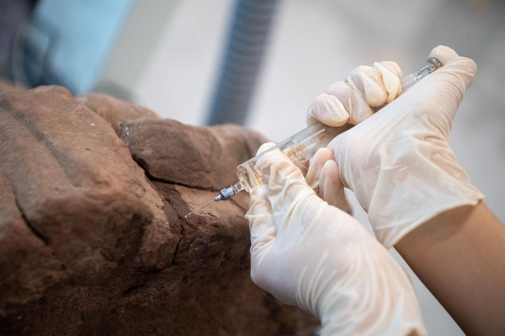 重庆：科技赋能大足石刻 注入新活力