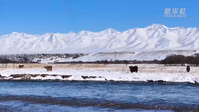 青海门源：雪后初霁 山水如画