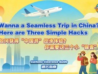 【“中国游记”第二季⑭】如何获得“中国游”丝滑体验？你需要这三个小“锦囊”_fororder_微信图片_20260104085036_903_145