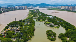 浙江温州：瓯江“碧玉”焕新韵