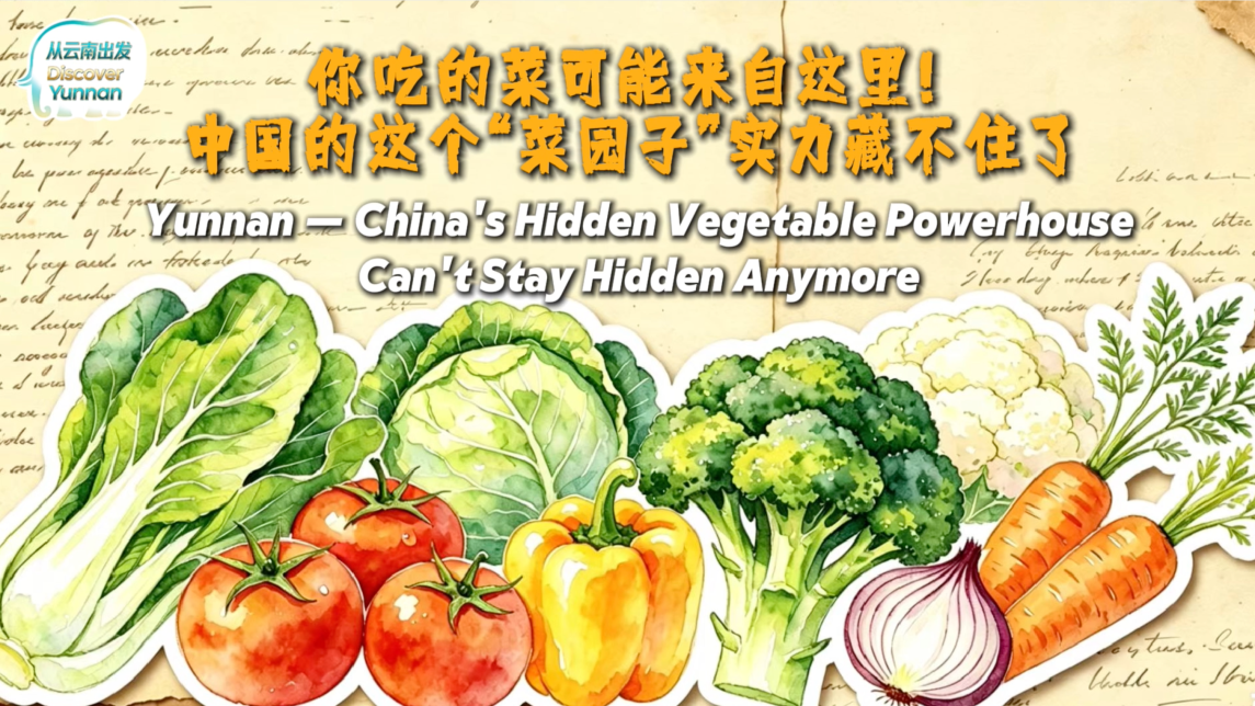 【从云南出发】你吃的菜可能来自这里！中国的这个“菜园子”实力藏不住了_fororder_99d784d3-56ed-41da-b80b-84019ca94c18