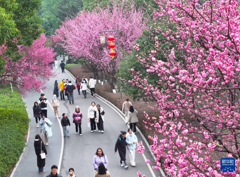 安徽黄山：莺鸣一两啭，花树数重开