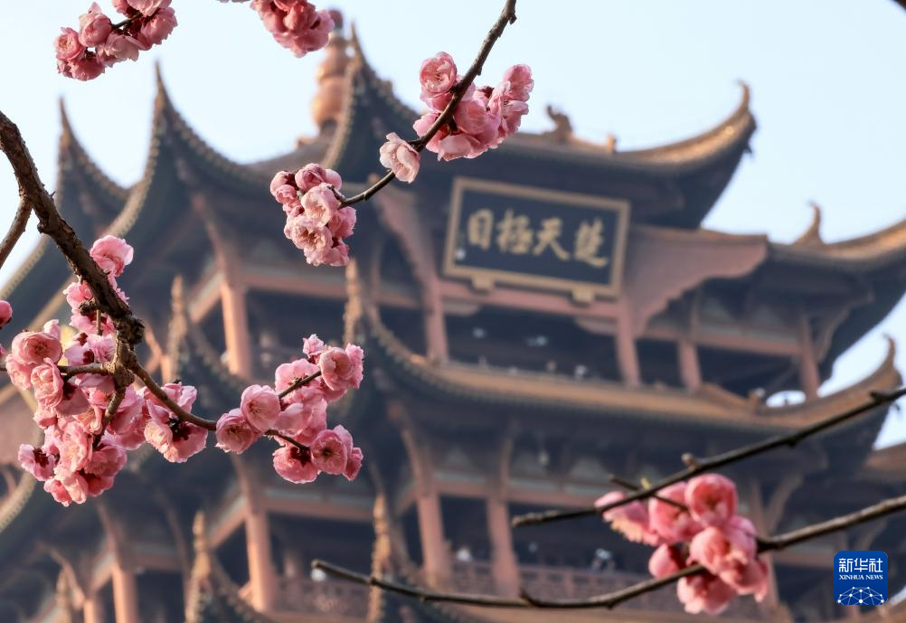 安徽黄山：莺鸣一两啭，花树数重开