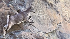 万年“画廊”遇见数字流光_fororder_IMG_5617