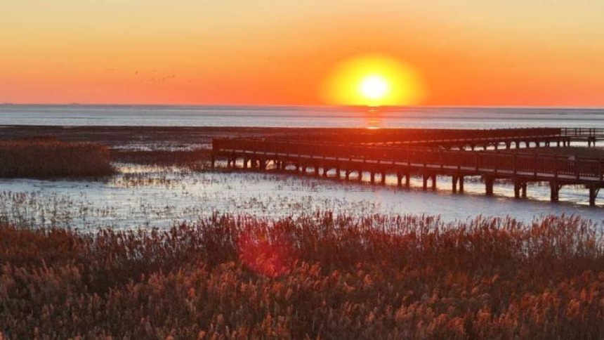 辽宁盘锦：冰雪奇观  “红滩卧雪”